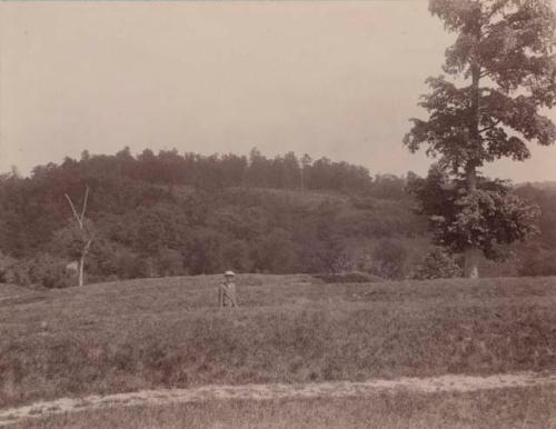 Serpent Mound- view of man standing at unexcavated site.