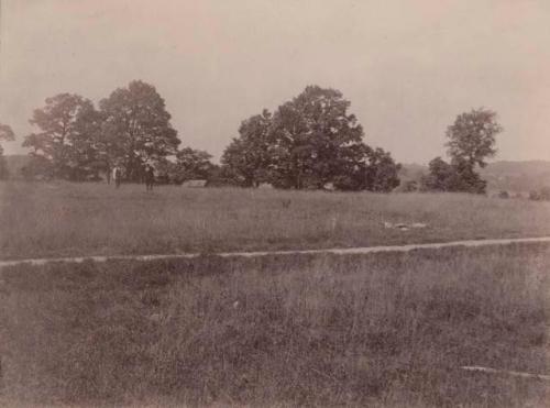 View of unexcavated site.