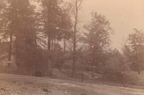 Picnic grounds at the south eastern corner of the park.