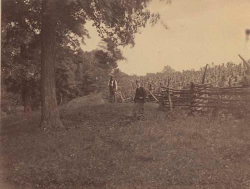 View of supposed part of Stubb's earthwork near stations.