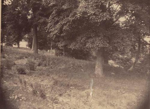 View of Stubbs earthwork near station 1-3