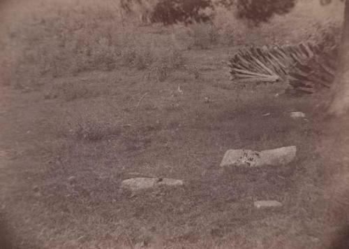 View from Northeast of stone slabs projecting above the soil