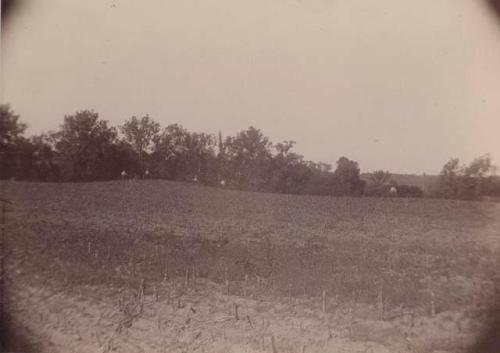 Taylor farm-countryside.