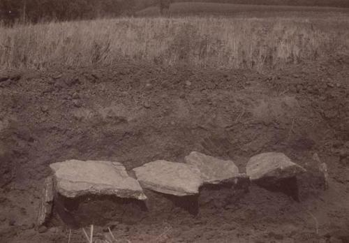 View from the west of Stone Grave near "Taylor Mound."