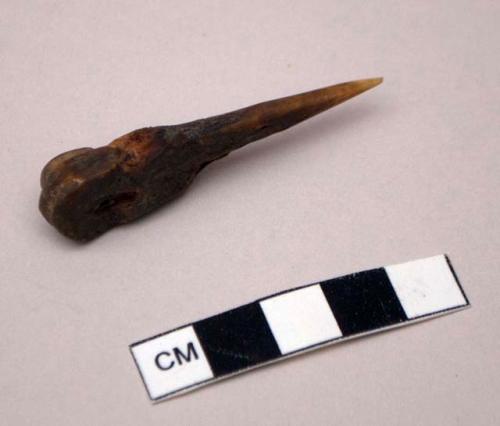 Small bone awl