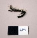 Small fragment of cord--1" long, apocynum fiber (perhaps yucca)