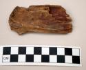 Wood fragment showing deep reddish stain