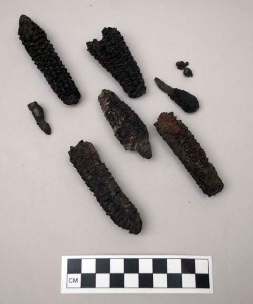 Box of corn cobs and fragments