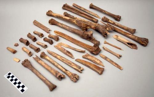 Bone fragments, some split, some with dried skin, two worked