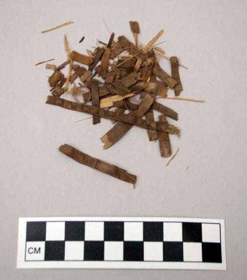 Fiber fragments, possibly from basket