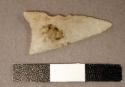 Stone projectile point, lanceolate