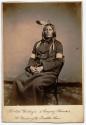 Portrait of Psi-tsha-Wa-king-a (Jumping Thunder); Yankton Sioux warrior