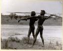 Aboriginal spear throwers