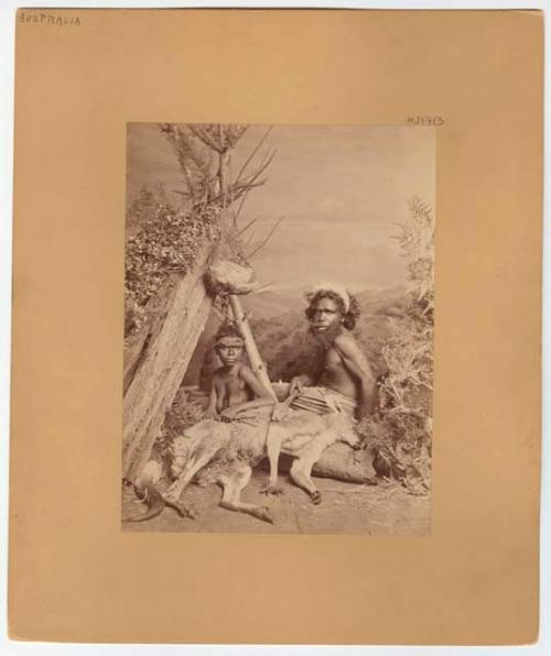 Australian Aboriginal woman and man with kangaroo carcass