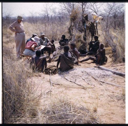 Expedition, Ethnographic work: Group of people sitting and being interviewed by Lorna Marshall, with Frederick !Gaeb interpreting, and J. Otis Brew watching (half of stereoview 2001.29.6374)