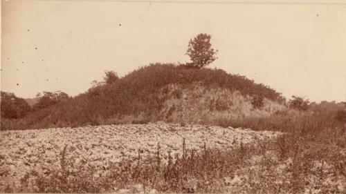 Unexcavated mound.