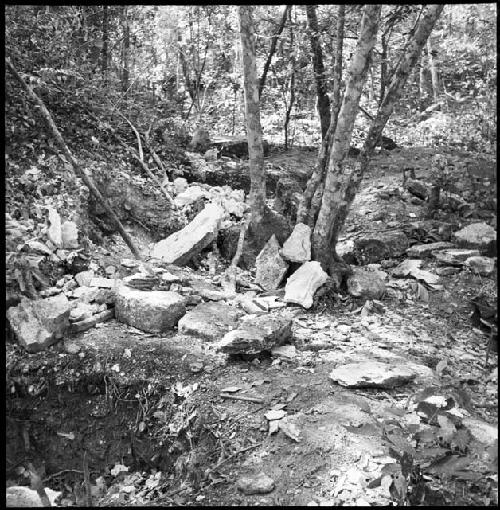 Looters' excavation at La Naya