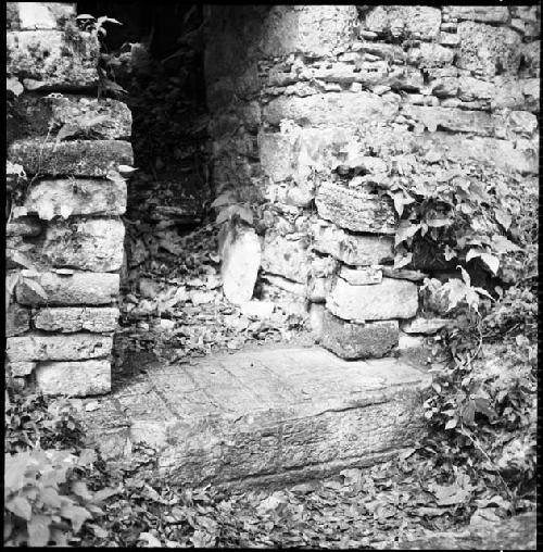 Structure 44 at Yaxchilan