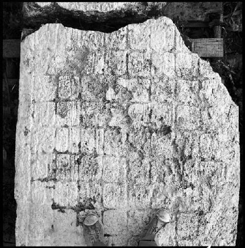 Stela 31 at Naranjo