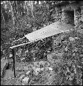 Shelter over steps of Structure 44 at Yaxchilan