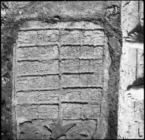 Lower step of Hieroglyphic Stairway 3 of Structure 44 at Yaxchilan