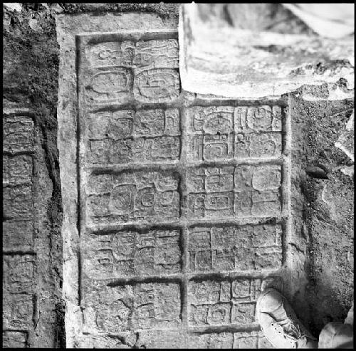 Upper step of Hieroglyphic Stairway 3 of Structure 44 at Yaxchilan