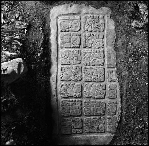 Lower step of Hieroglyphic Stairway 3 of Structure 44 at Yaxchilan