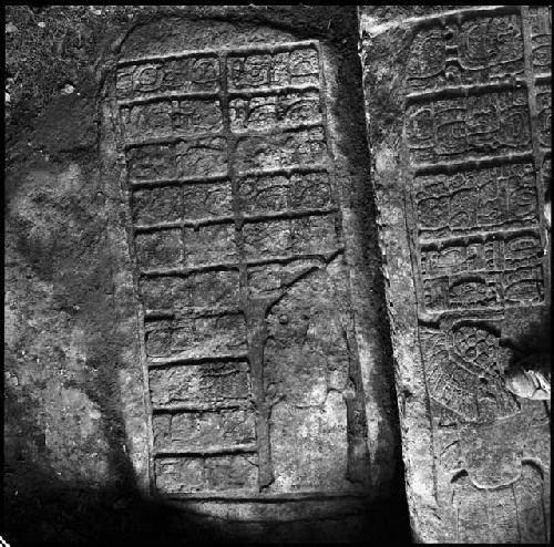 Lower step of Hieroglyphic Stairway 3 of Structure 44 at Yaxchilan