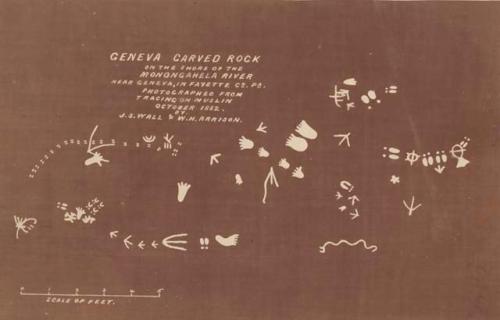 Tracing of Geneva rock on muslin by J. S. Wall and W. H. Arrison