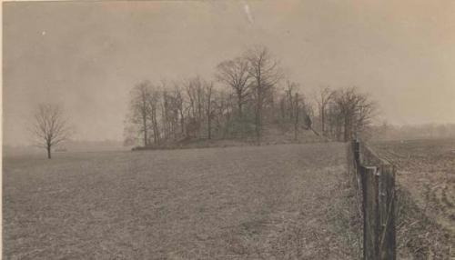 Mound near Pinson on mound B; Approach on far side of mound