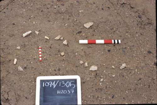 Bone, H2037, Pre-ceramic lithic site, Rio Seco