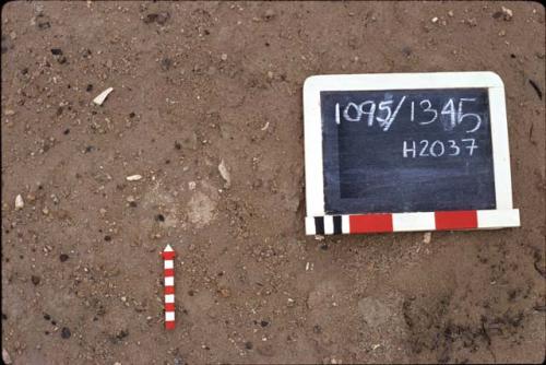 Bone, H2037, Rio Seco, Pre-ceramic lithic site