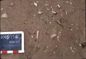 Bone scatter, H2037, Pre-ceramic lithic site, Rio Seco