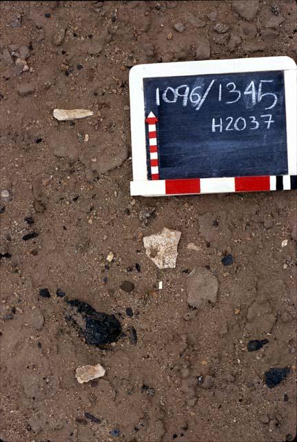 Bone, H2037, Pre-ceramic lithic site, Rio Seco