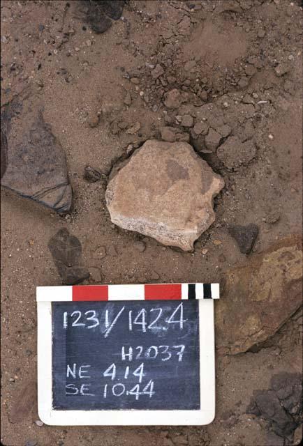 Bone,  H2037, Pre-ceramic lithic site, Rio Seco