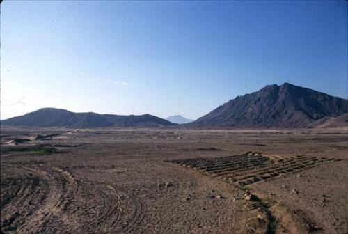 View of H1929 from southeast, Cupisnique site, Keatinge