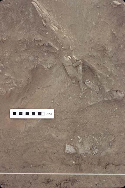 Dt. Base stem at H2037 Feature 1804 
P. Ossa; Rio Seco, Pre-ceramic lithic site