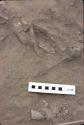 Dt. Base stem at H2037 Feature 1804; Rio Seco, Pre-ceramic lithic site