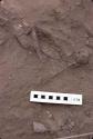 Dt. Base stem at H2037 Feature 1804; Rio Seco, Pre-ceramic lithic site