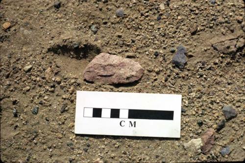 Lithic, fragment  found near H1929,  Cupisnique site, Keatinge