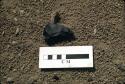 Lithic, fragment  found near H1929,  Cupisnique site, Keatinge