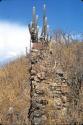 Walls from U5355, Cerro Ramon, Moche Valley