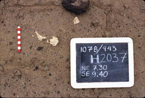 Bone; Preceramic lithic site, Rio Seco, H2037