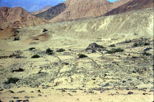 General view of the terraces at site K3955, Falda Cerro Orejas, Moche Valley