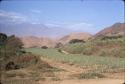 General view of the site, Falda Cerro Orejas (K3955), Moche Valley