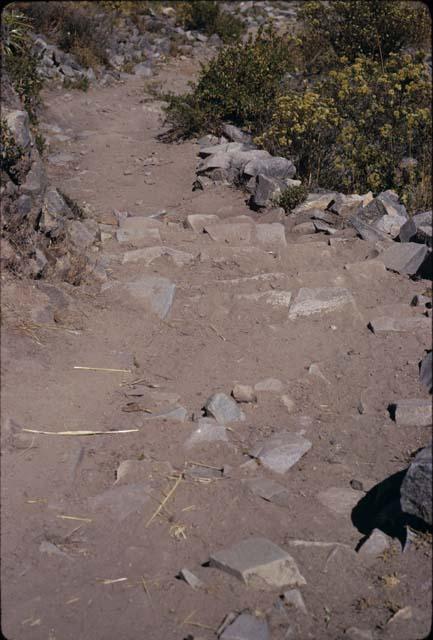 Stairway at site of Karapaico (U9563), Moche Valley; a hill top fort site