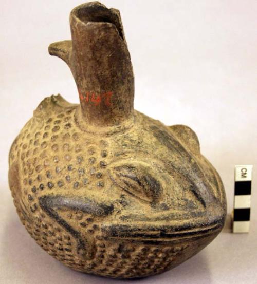 Ceramic effigy bottle, frog shaped body, molded eyes, broken neck & handle