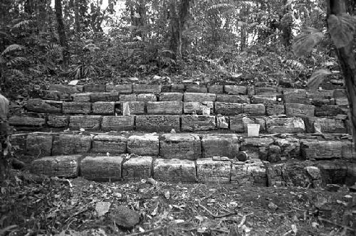 Hieroglyphic Stairway 1 of Structure 5 at Yaxchilan