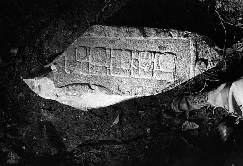 Fragment of Stela 2 from La Amelia