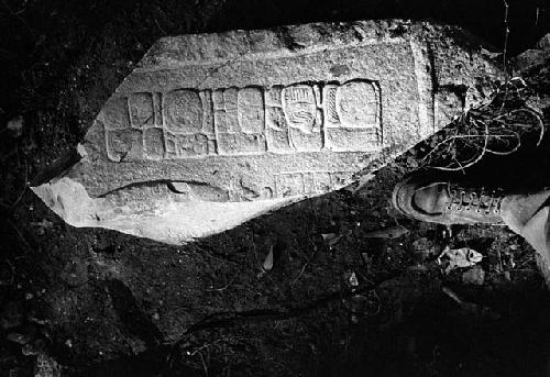 Fragment of Stela 2 from La Amelia